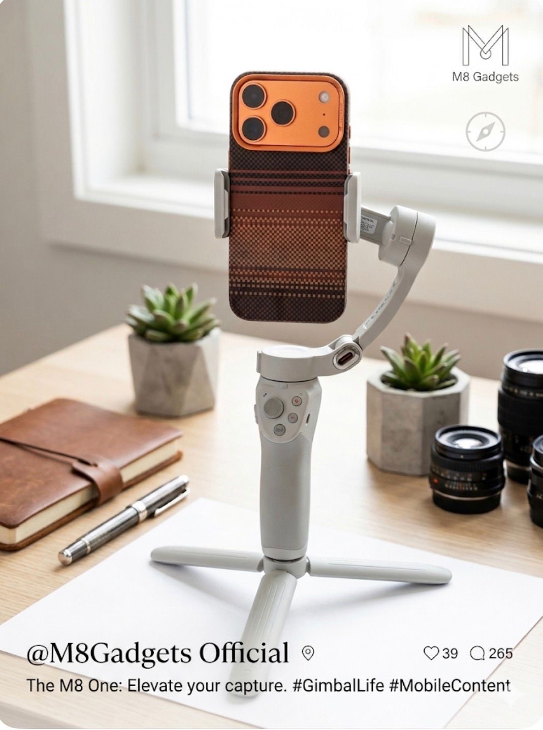 Phone gimbal and tripod